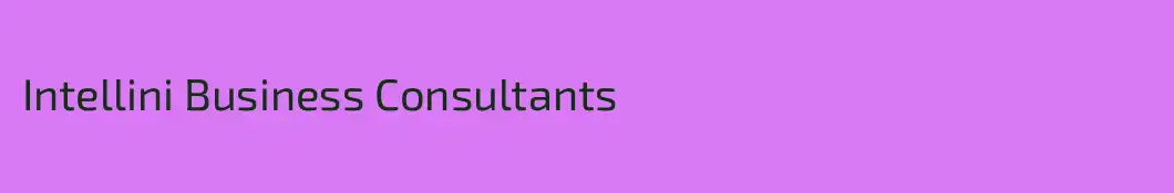Intellini Business Consultants